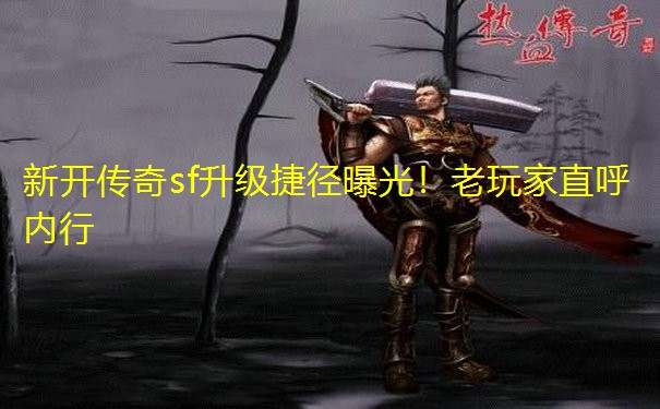 新开传奇sf升级捷径曝光!老玩家直呼内行