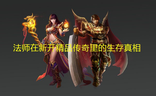 法师在新开精品传奇里的生存真相 法师在新开精品传奇里的生存真相