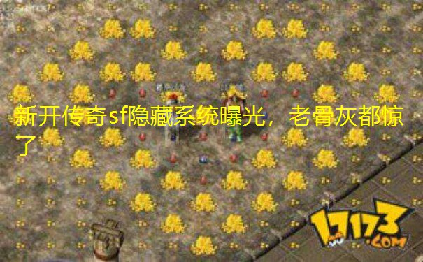 新开传奇sf隐藏系统曝光,老骨灰都惊了 新开传奇sf隐藏系统曝光,老骨灰都惊了